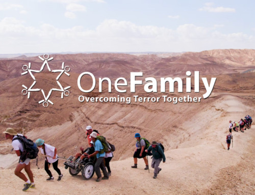 OneFamily 2022: At a Glance